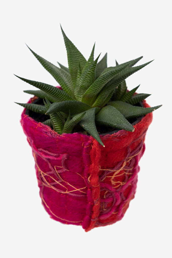 FABRIC POT CLOTH RED #13 - WORKSOUT WORLDWIDE