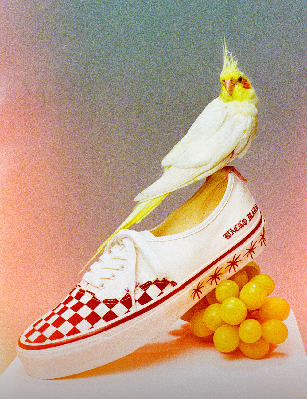 WACKO MARIA X VANS LX AUTHENTIC 44