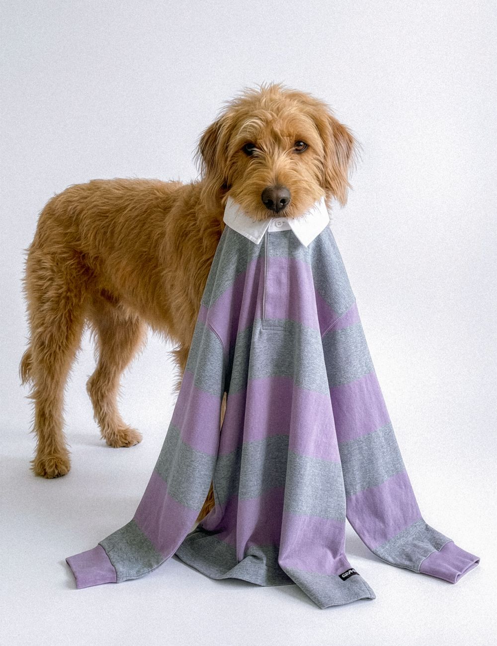 WORKSOUT SPRING ITEM EDITORIAL