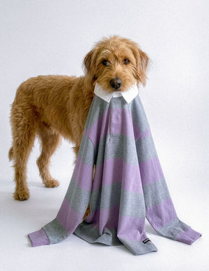 WORKSOUT SPRING ITEM EDITORIAL