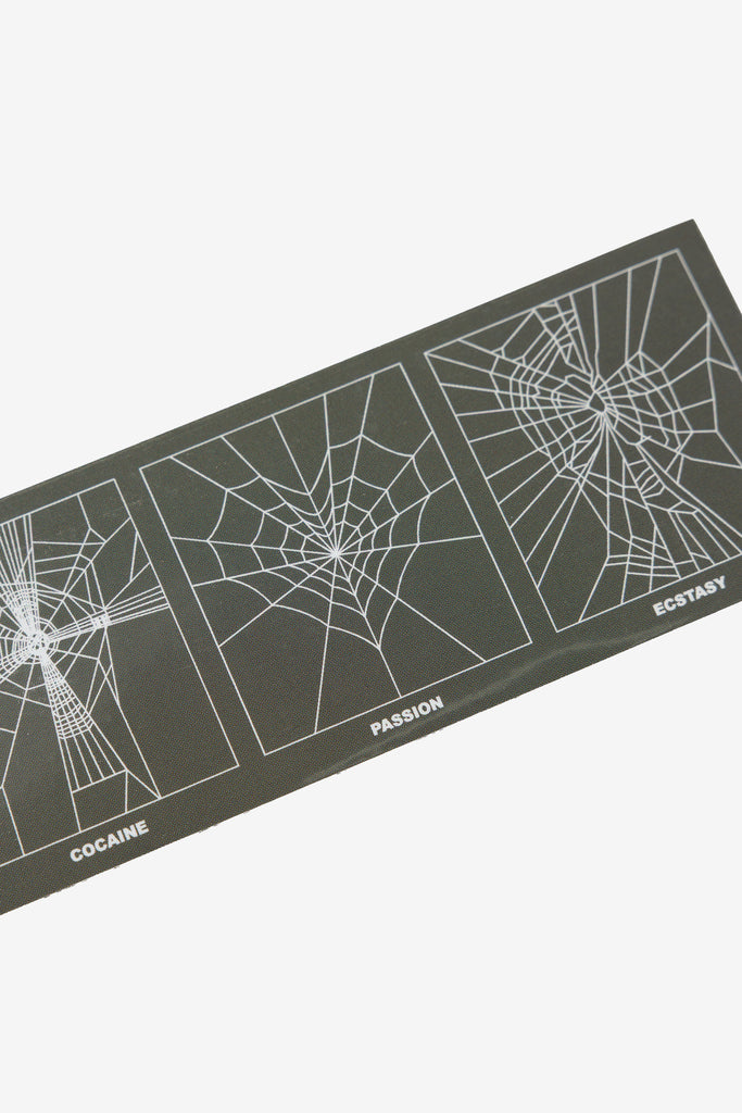 SPIDER STUDY FRIDGE MAGNET - WORKSOUT WORLDWIDE