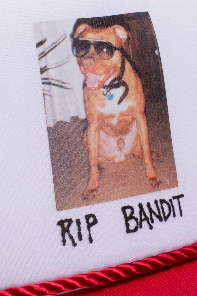 R.I.P. BANDIT SNAPBACK - WORKSOUT WORLDWIDE