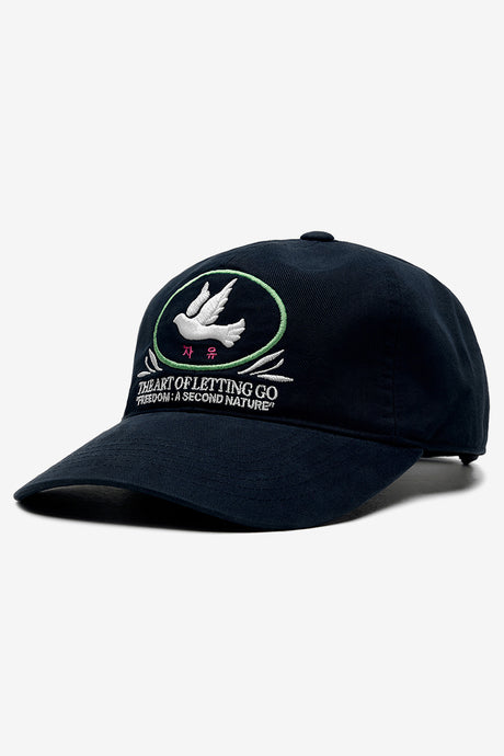 FREEDOM FLYING BIRD
