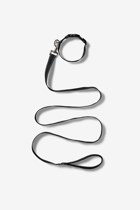 NP PET LEAD