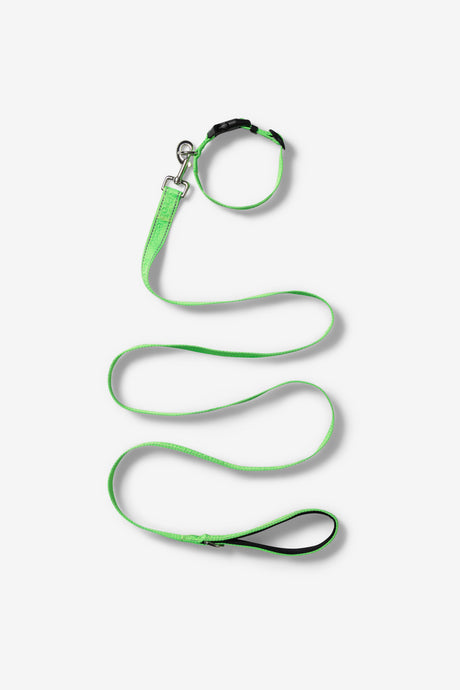NP PET LEAD