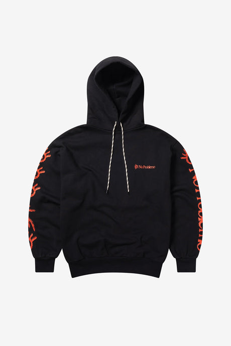 ANCIENT FINDINGS HOODIE