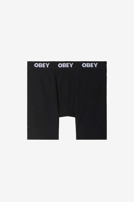 ESTABLISHED WORK 2 PACK BOXERS