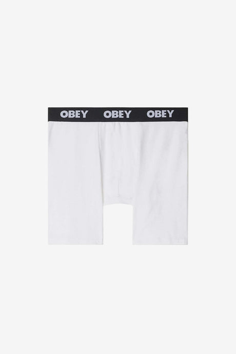 ESTABLISHED WORK 2 PACK BOXERS