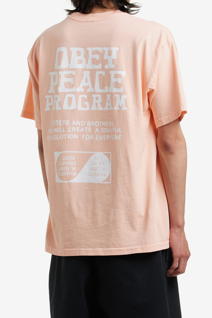 OBEY PEACE PROGRAM - WORKSOUT WORLDWIDE