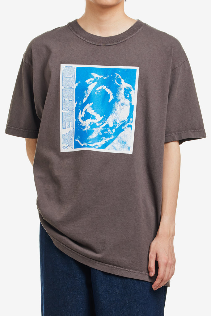 OBEY STAY BACK - WORKSOUT WORLDWIDE