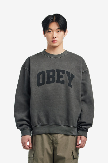 COLLEGIATE PIGMENT CREW