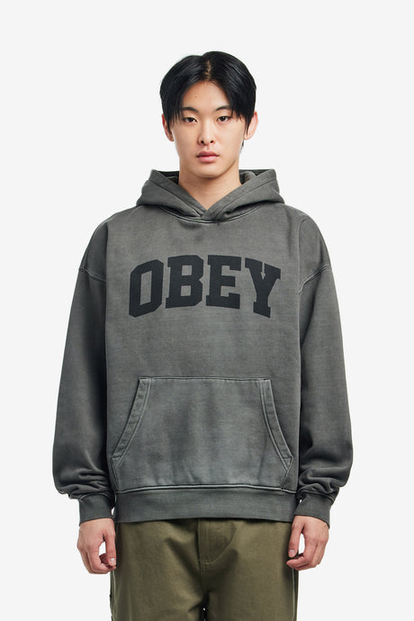 COLLEGIATE PIGMENT HOOD