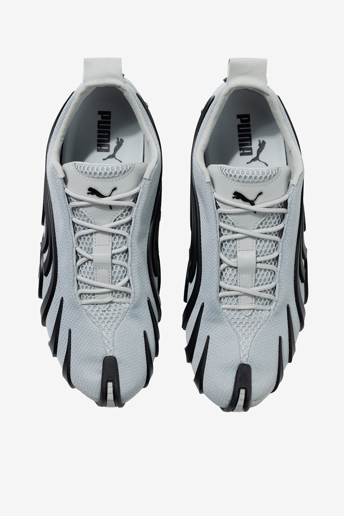 TALON OG - WORKSOUT WORLDWIDE