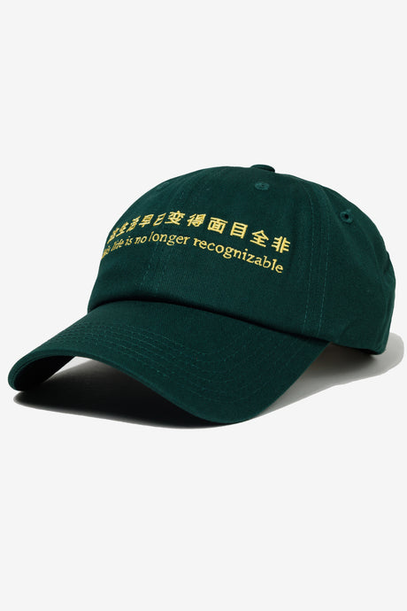 THIS LIFE HAT