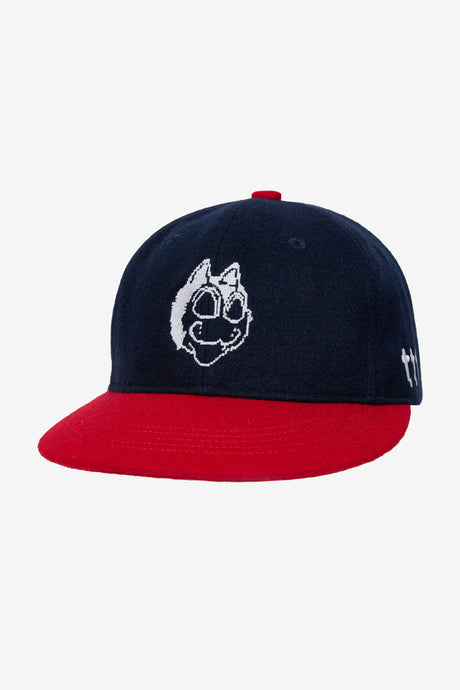 WOOL DIGI CAT BALL CAP