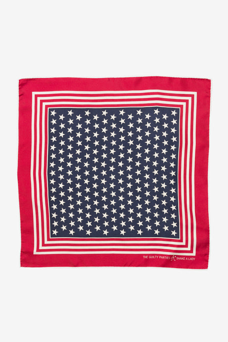 POCKET CHIEF ( TYPE-6 )