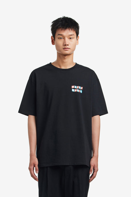 CREW NECK T-SHIRT ( TYPE-10 )