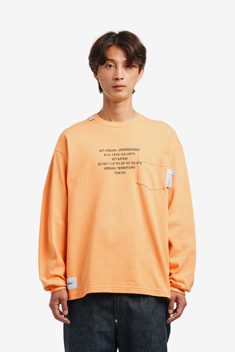 INSECT / LS / COTTON