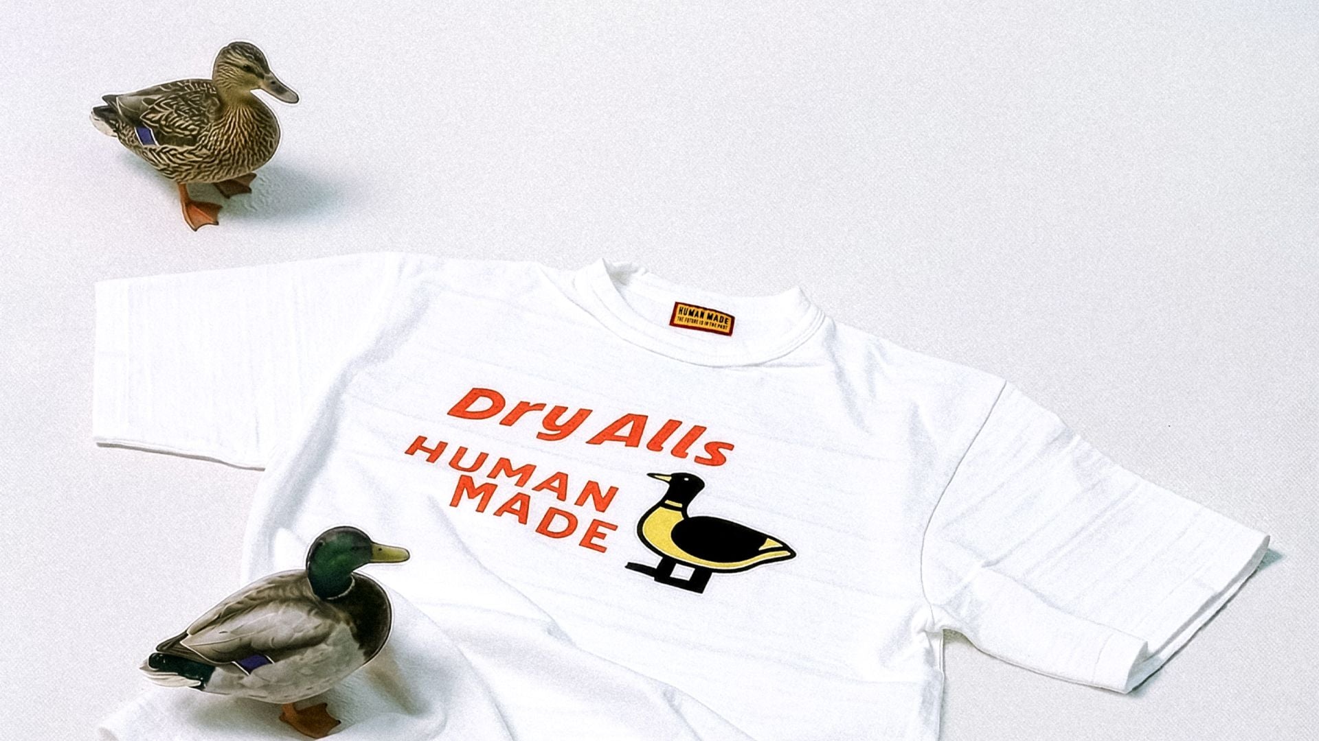 WORKSOUT SPRING ITEM EDITORIAL