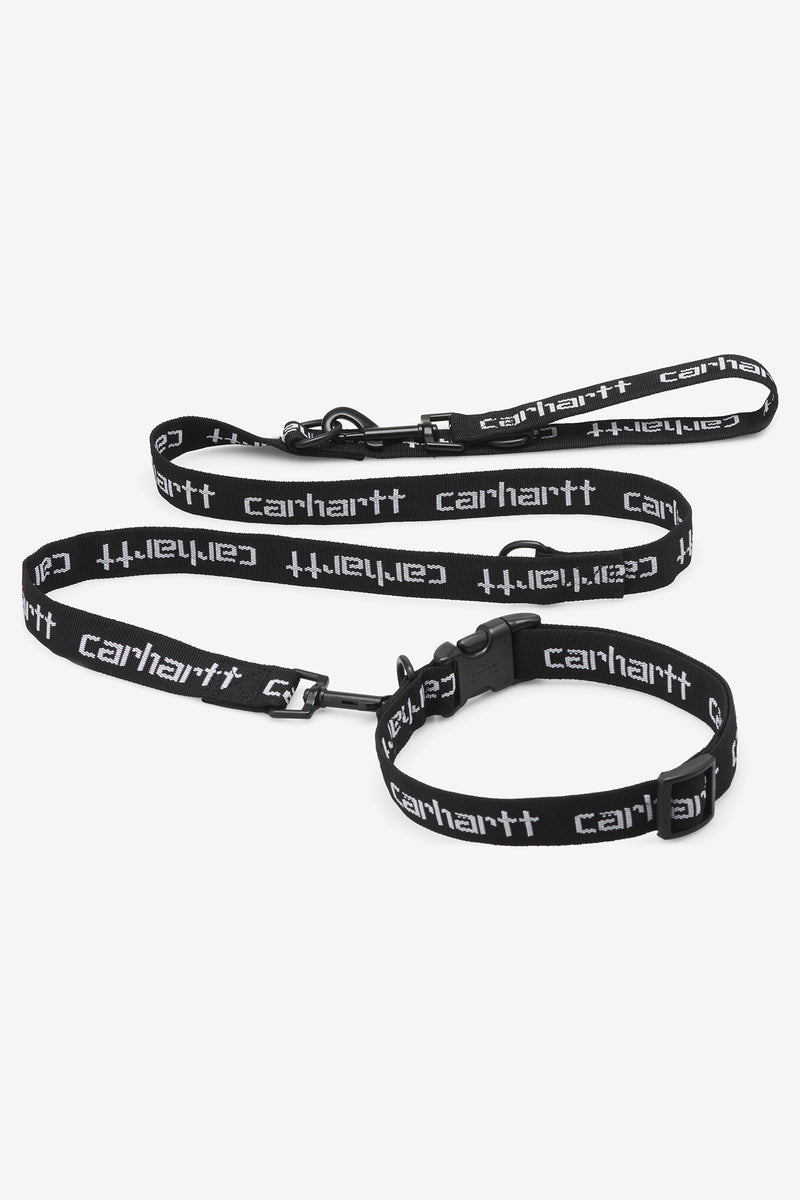 SCRIPT DOG LEASH & COLLAR | WORKSOUT WORLDWIDE