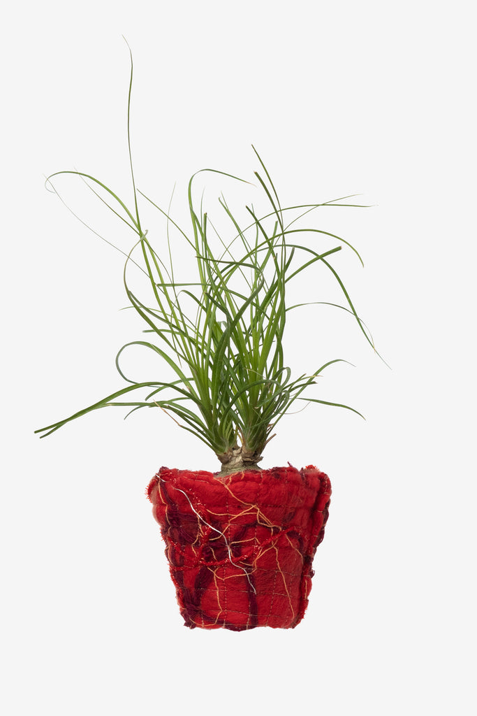 FABRIC POT CLOTH RED #3 - WORKSOUT WORLDWIDE