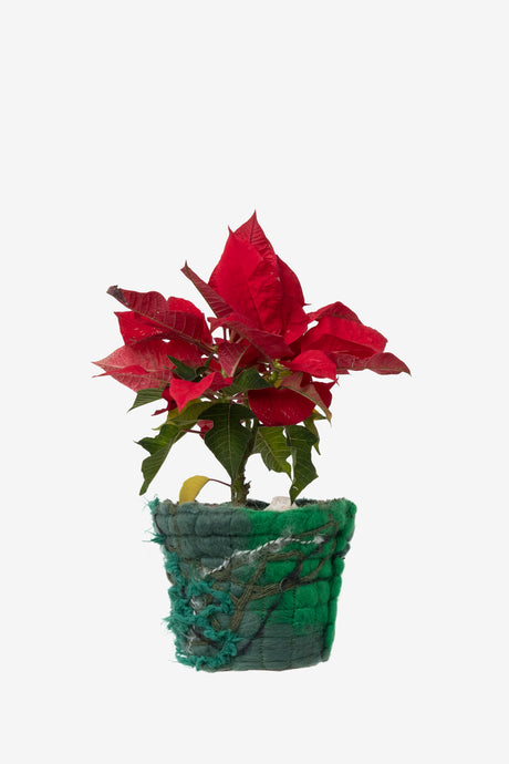 FABRIC POT CLOTH GREEN #8